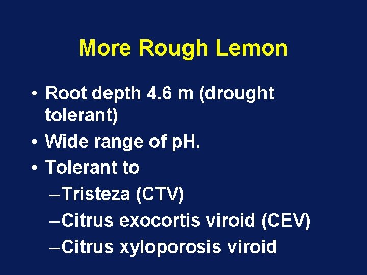 More Rough Lemon • Root depth 4. 6 m (drought tolerant) • Wide range More Rough Lemon • Root depth 4. 6 m (drought tolerant) • Wide range