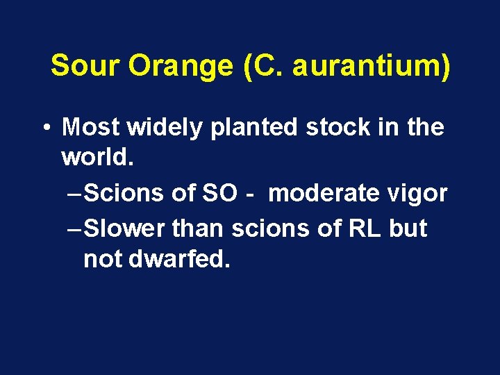 Sour Orange (C. aurantium) • Most widely planted stock in the world. – Scions Sour Orange (C. aurantium) • Most widely planted stock in the world. – Scions