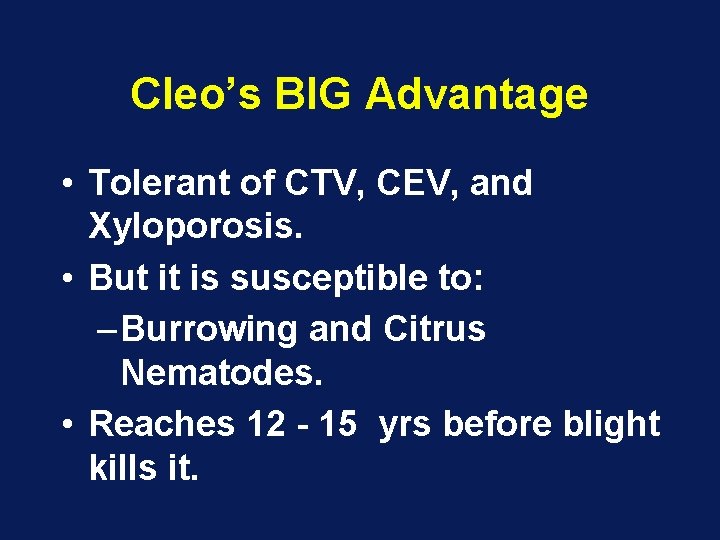 Cleo’s BIG Advantage • Tolerant of CTV, CEV, and Xyloporosis. • But it is Cleo’s BIG Advantage • Tolerant of CTV, CEV, and Xyloporosis. • But it is