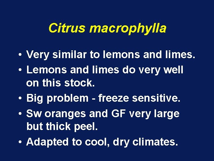 Citrus macrophylla • Very similar to lemons and limes. • Lemons and limes do Citrus macrophylla • Very similar to lemons and limes. • Lemons and limes do