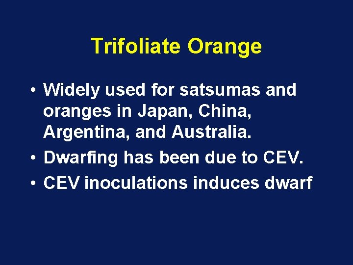 Trifoliate Orange • Widely used for satsumas and oranges in Japan, China, Argentina, and Trifoliate Orange • Widely used for satsumas and oranges in Japan, China, Argentina, and