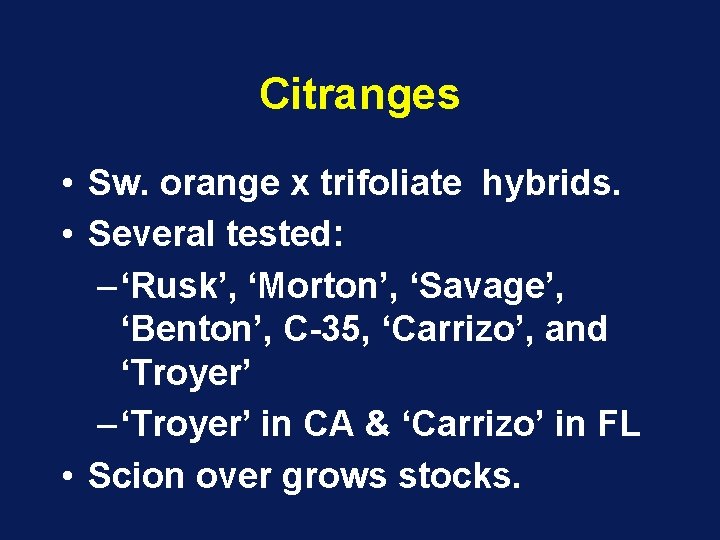 Citranges • Sw. orange x trifoliate hybrids. • Several tested: – ‘Rusk’, ‘Morton’, ‘Savage’, Citranges • Sw. orange x trifoliate hybrids. • Several tested: – ‘Rusk’, ‘Morton’, ‘Savage’,