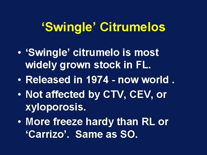 ‘Swingle’ Citrumelos • ‘Swingle’ citrumelo is most widely grown stock in FL. • Released ‘Swingle’ Citrumelos • ‘Swingle’ citrumelo is most widely grown stock in FL. • Released