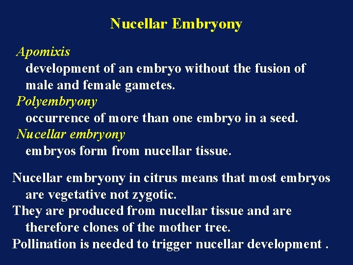 Nucellar Embryony Apomixis development of an embryo without the fusion of male and female Nucellar Embryony Apomixis development of an embryo without the fusion of male and female