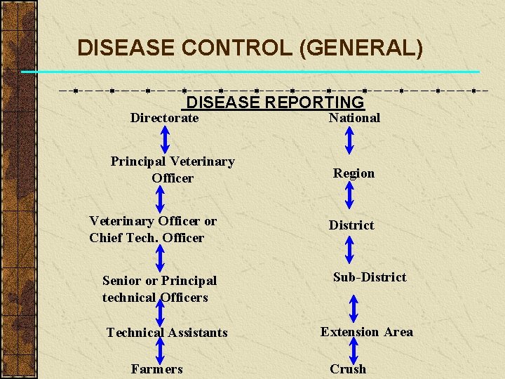DISEASE CONTROL (GENERAL) DISEASE REPORTING Directorate Principal Veterinary Officer or Chief Tech. Officer Senior