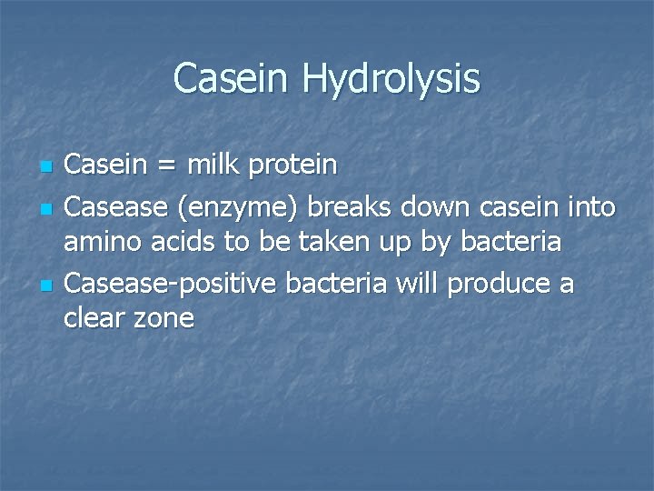 Casein Hydrolysis n n n Casein = milk protein Casease (enzyme) breaks down casein