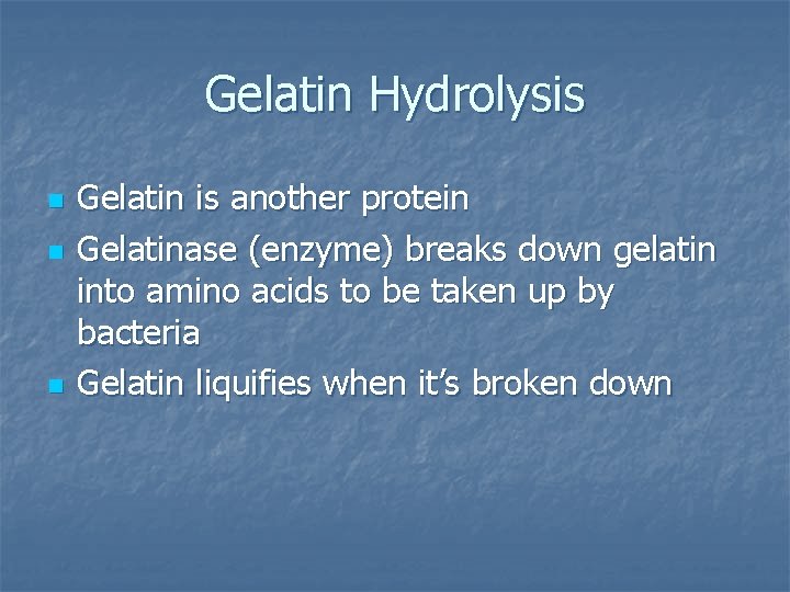 Gelatin Hydrolysis n n n Gelatin is another protein Gelatinase (enzyme) breaks down gelatin