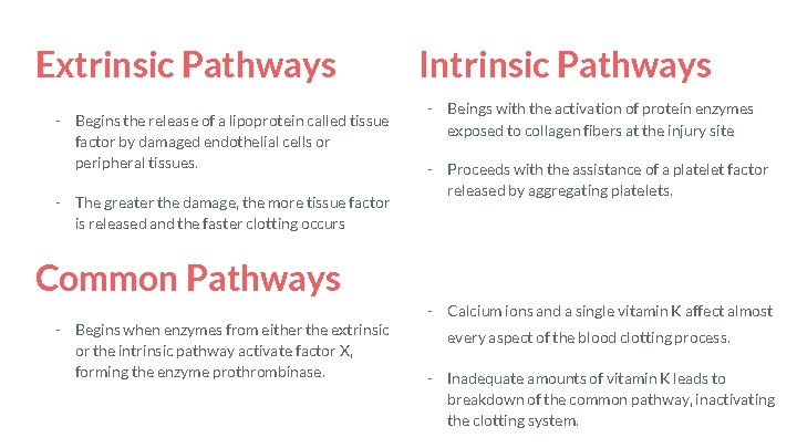 Extrinsic Pathways - Begins the release of a lipoprotein called tissue factor by damaged