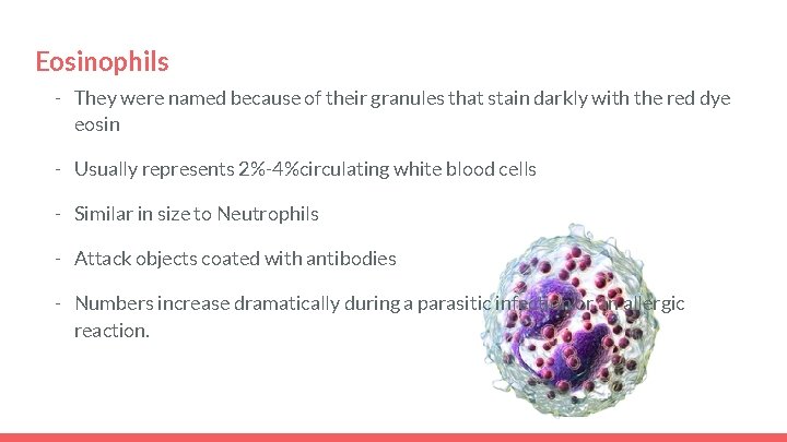 Eosinophils - They were named because of their granules that stain darkly with the