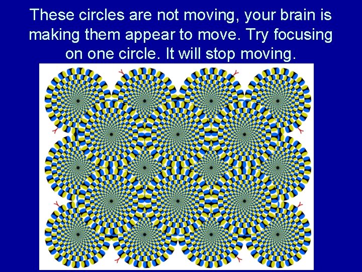 These circles are not moving, your brain is making them appear to move. Try