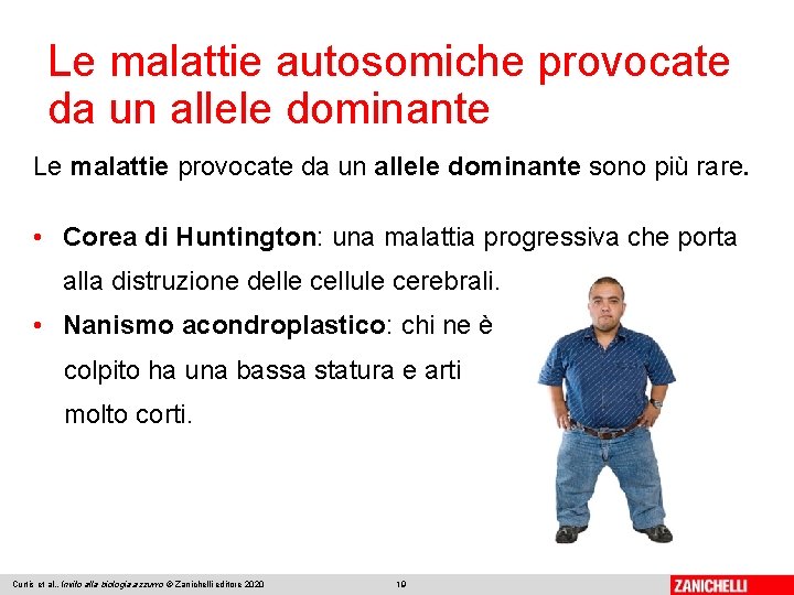 Le malattie autosomiche provocate da un allele dominante Le malattie provocate da un allele