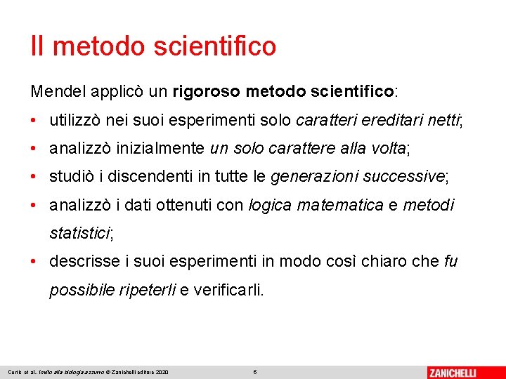 Il metodo scientifico Mendel applicò un rigoroso metodo scientifico: • utilizzò nei suoi esperimenti