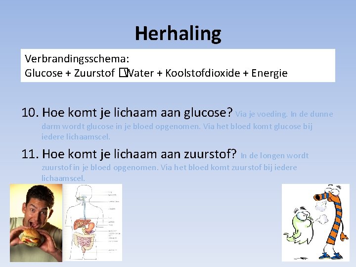 Herhaling Verbrandingsschema: Glucose + Zuurstof �Water + Koolstofdioxide + Energie 10. Hoe komt je