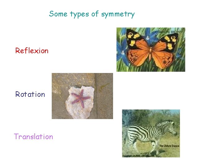 Some types of symmetry Reflexion Rotation Translation 