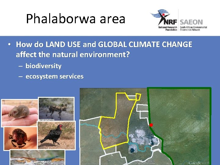 Phalaborwa area • How do LAND USE and GLOBAL CLIMATE CHANGE affect the natural