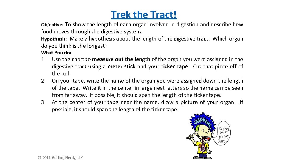 Trek the Tract! Objective: To show the length of each organ involved in digestion