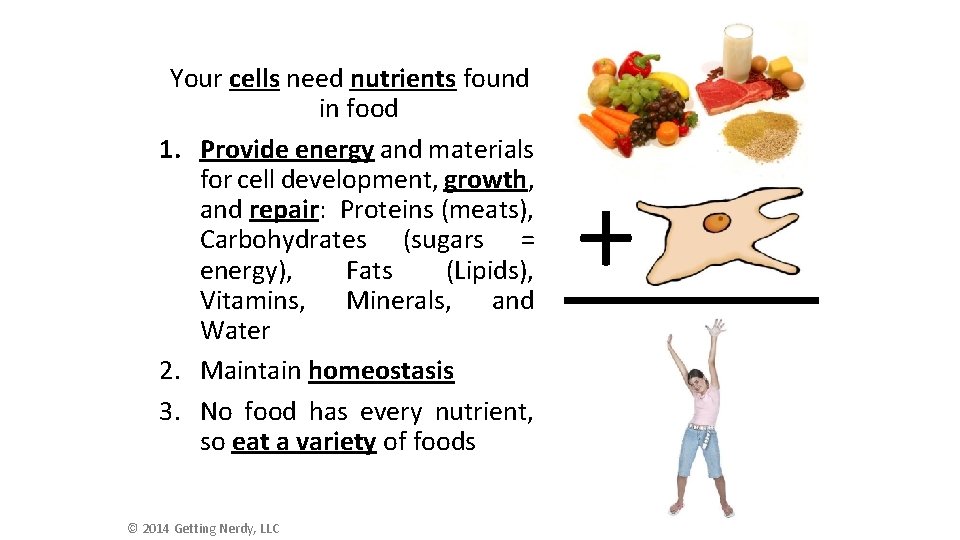 Your cells need nutrients found in food 1. Provide energy and materials for cell