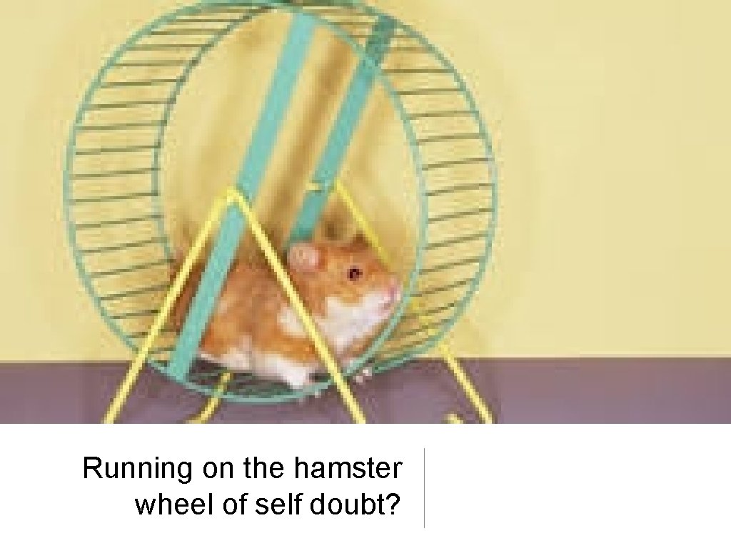 Running on the hamster wheel of self doubt? 