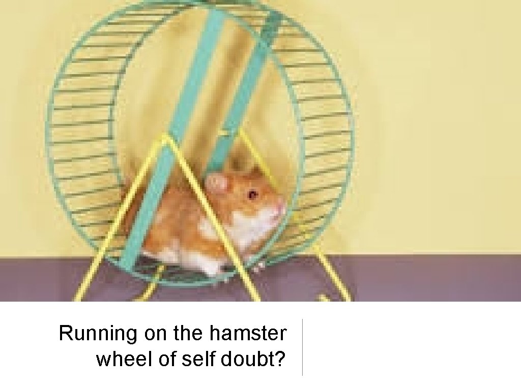 Running on the hamster wheel of self doubt? Running on the hamster wheel of self doubt?