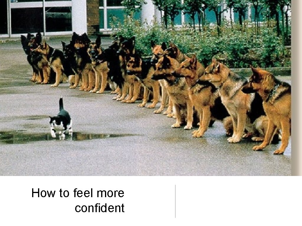 How to feel more confident How to feel more confident