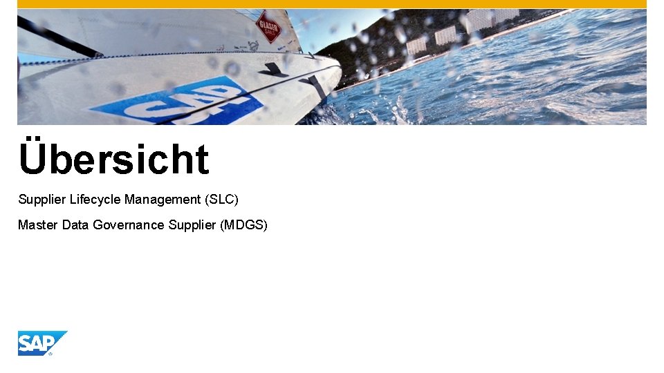 Übersicht Supplier Lifecycle Management (SLC) Master Data Governance Supplier (MDGS) 