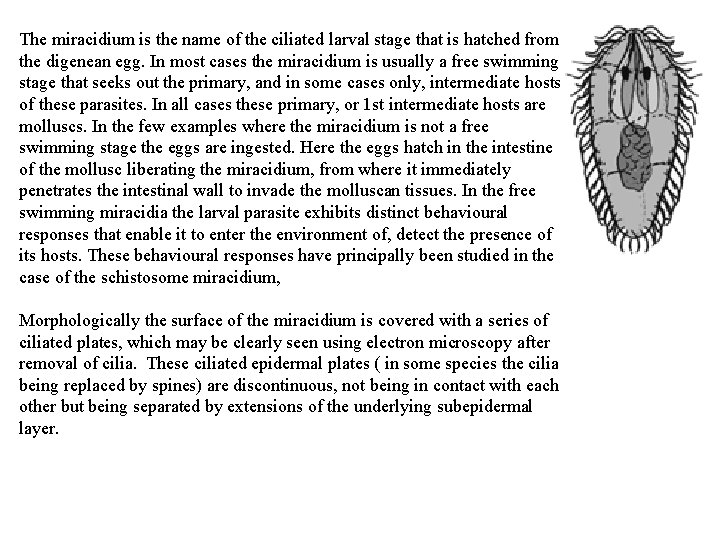 The miracidium is the name of the ciliated larval stage that is hatched from The miracidium is the name of the ciliated larval stage that is hatched from