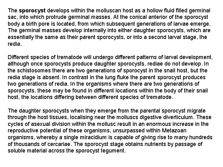 The sporocyst develops within the molluscan host as a hollow fluid filled germinal sac, The sporocyst develops within the molluscan host as a hollow fluid filled germinal sac,