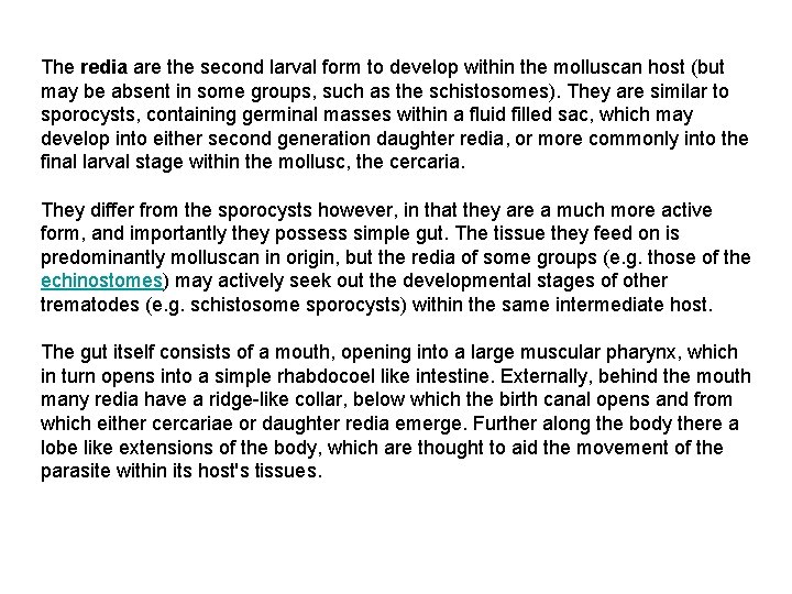 The redia are the second larval form to develop within the molluscan host (but The redia are the second larval form to develop within the molluscan host (but