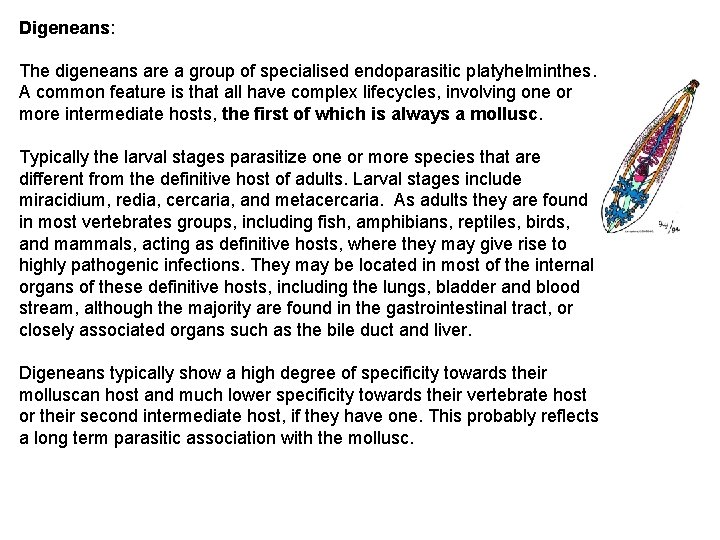 Digeneans: The digeneans are a group of specialised endoparasitic platyhelminthes. A common feature is Digeneans: The digeneans are a group of specialised endoparasitic platyhelminthes. A common feature is