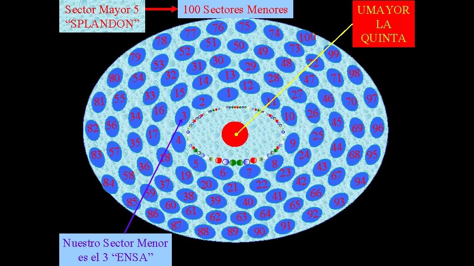 100 Sectores Menores UMAYOR LA 75 6 7 77 74 100 QUINTA 78 51