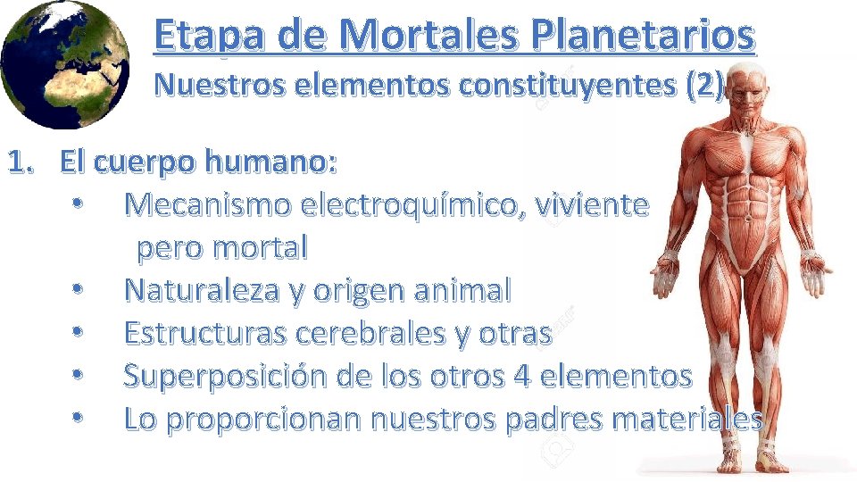 Etapa de Mortales Planetarios Nuestros elementos constituyentes (2) 1. El cuerpo humano: • Mecanismo