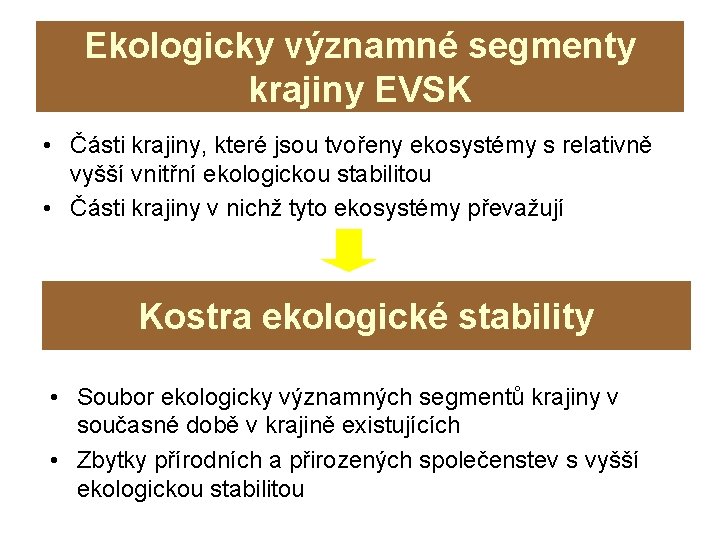 Ekologicky významné segmenty krajiny EVSK • Části krajiny, které jsou tvořeny ekosystémy s relativně