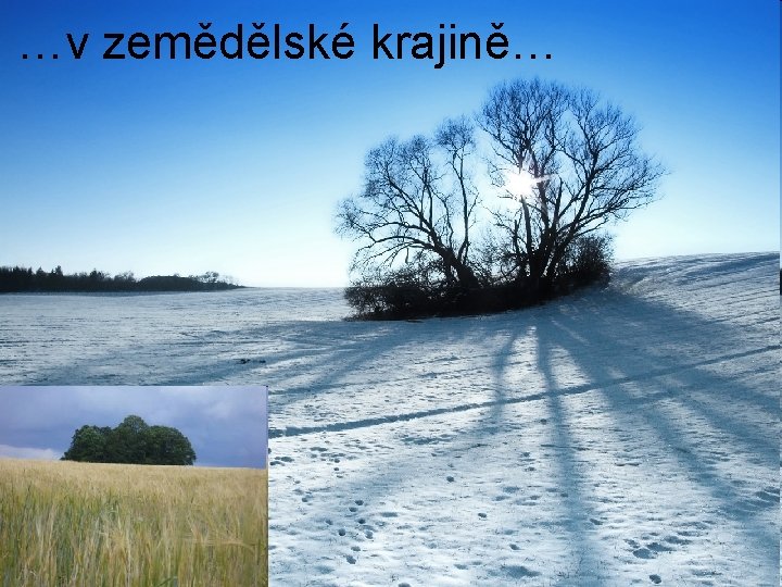…v zemědělské krajině… 