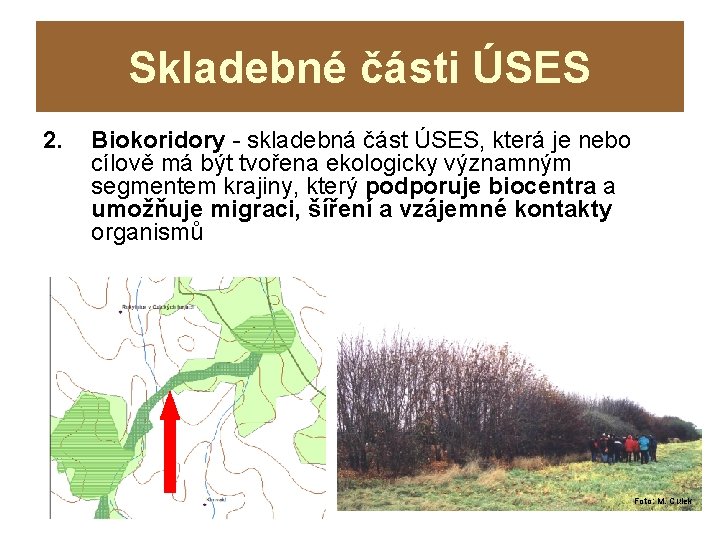 Skladebné části ÚSES 2. Biokoridory - skladebná část ÚSES, která je nebo cílově má