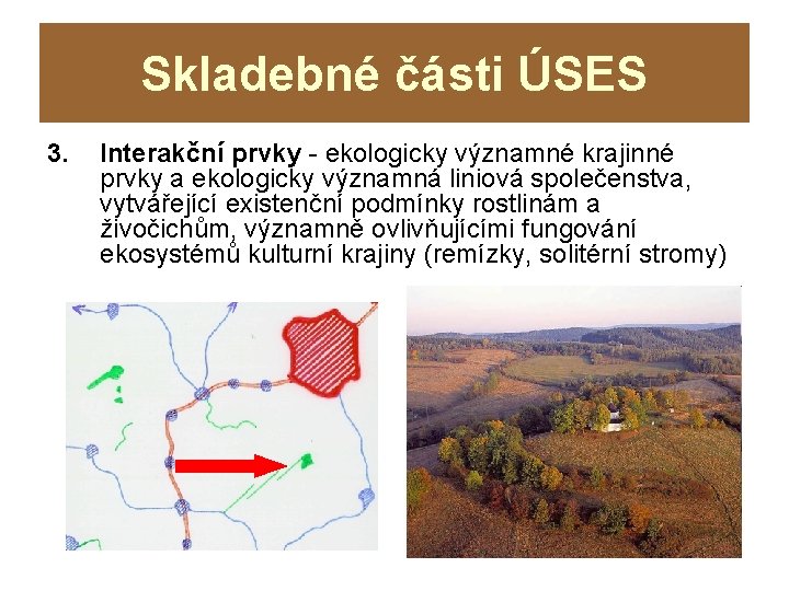 Skladebné části ÚSES 3. Interakční prvky - ekologicky významné krajinné prvky a ekologicky významná