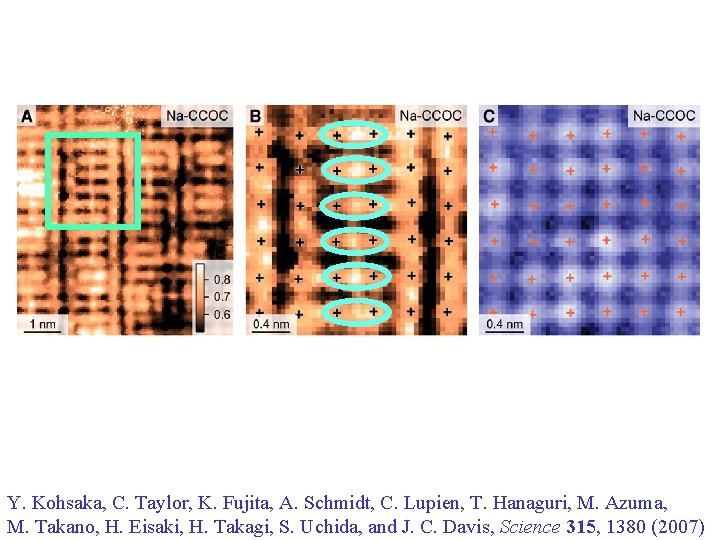 Y. Kohsaka, C. Taylor, K. Fujita, A. Schmidt, C. Lupien, T. Hanaguri, M. Azuma,