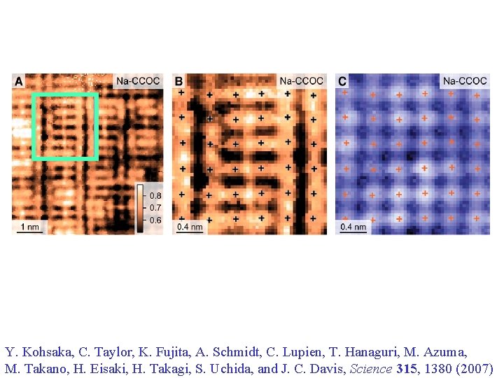 Y. Kohsaka, C. Taylor, K. Fujita, A. Schmidt, C. Lupien, T. Hanaguri, M. Azuma,