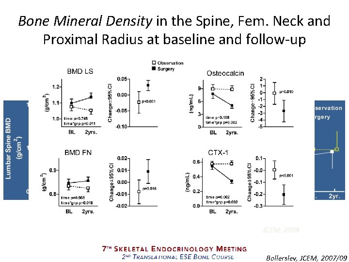 Bone Mineral Density in the Spine, Fem. Neck and Proximal Radius at baseline and