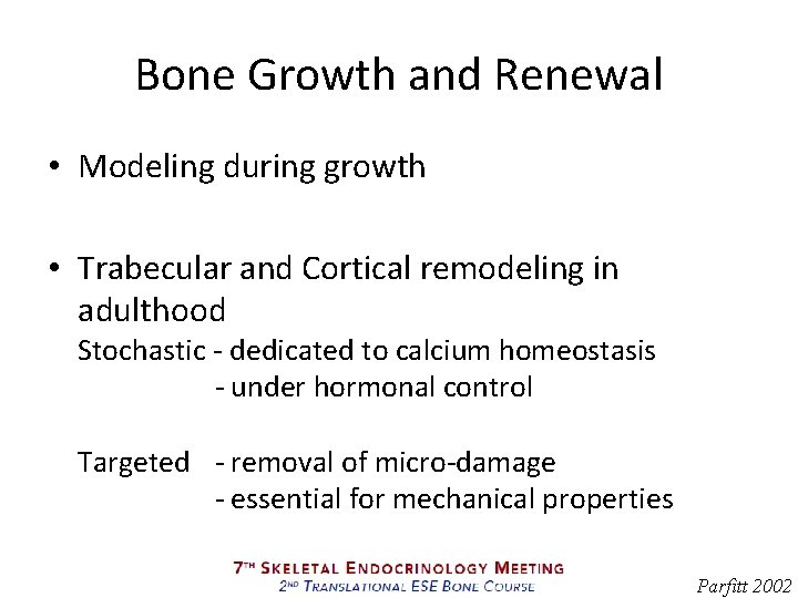 Bone Growth and Renewal • Modeling during growth • Trabecular and Cortical remodeling in