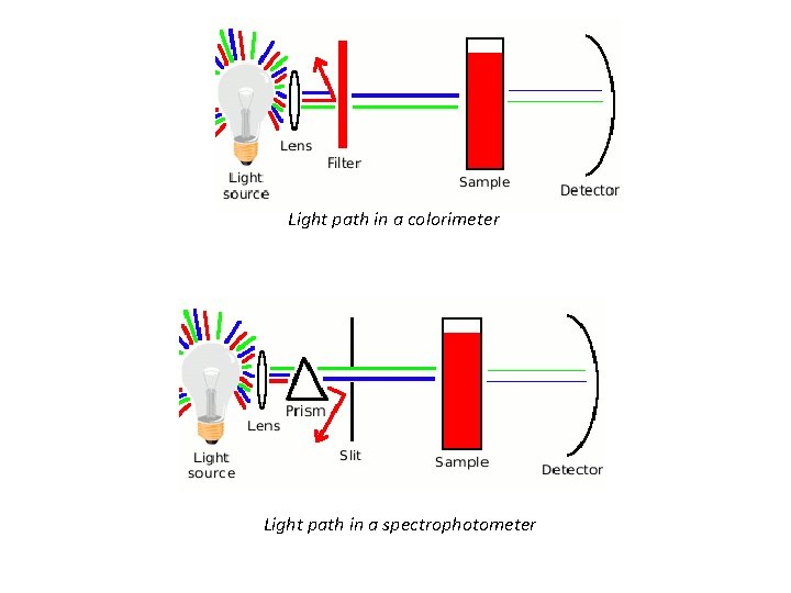 Light path in a colorimeter Light path in a spectrophotometer 