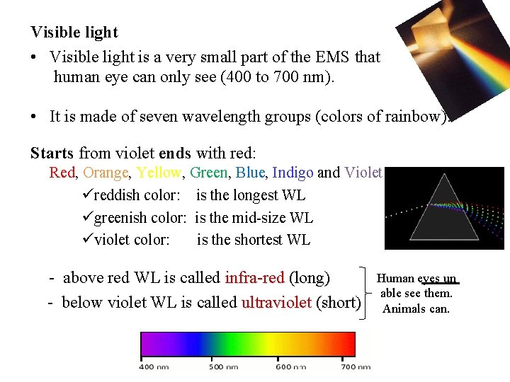 Visible light • Visible light is a very small part of the EMS that