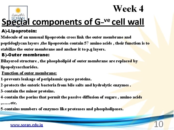  Week 4 Special components of G_ve cell wall A)-Lipoprotein: Molecule of an unusual