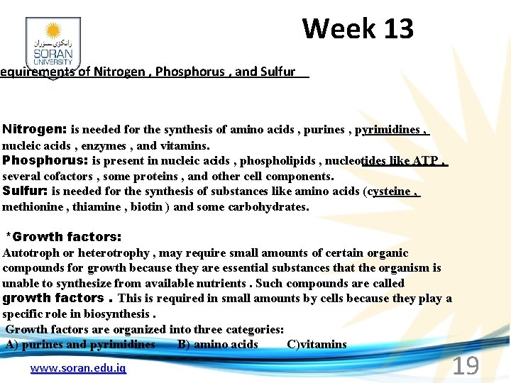  Week 13 Requirements of Nitrogen , Phosphorus , and Sulfur Nitrogen: is needed