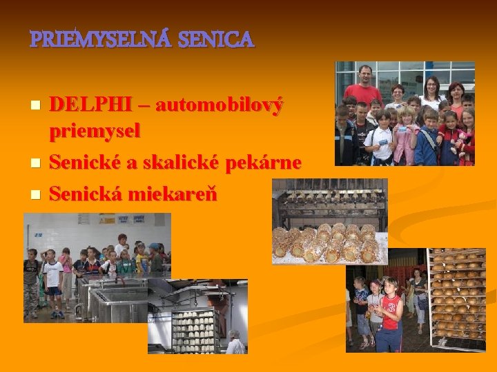 PRIEMYSELNÁ SENICA DELPHI – automobilový priemysel n Senické a skalické pekárne n Senická miekareň