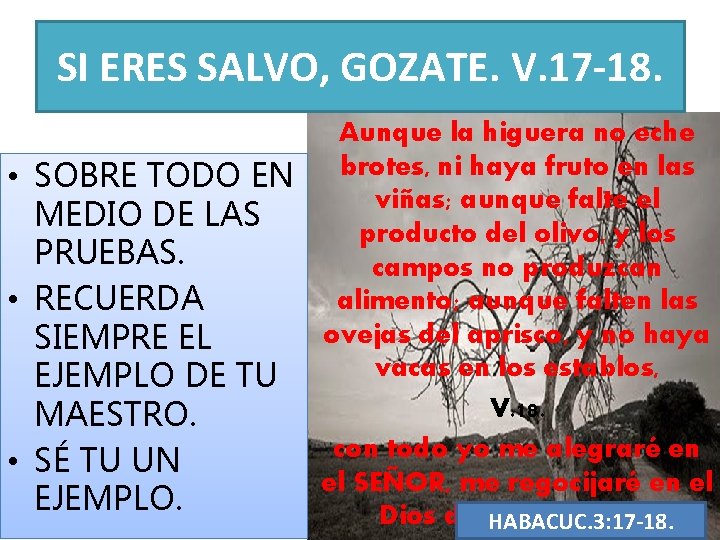 SI ERES SALVO, GOZATE. V. 17 -18. Aunque la higuera no eche • SOBRE