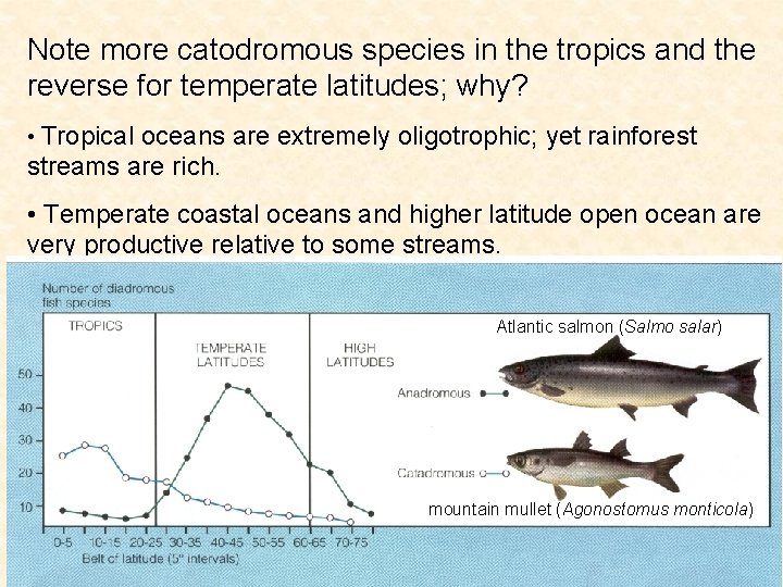 Note more catodromous species in the tropics and the reverse for temperate latitudes; why?