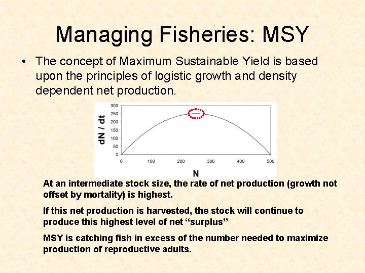 Managing Fisheries: MSY • The concept of Maximum Sustainable Yield is based upon the