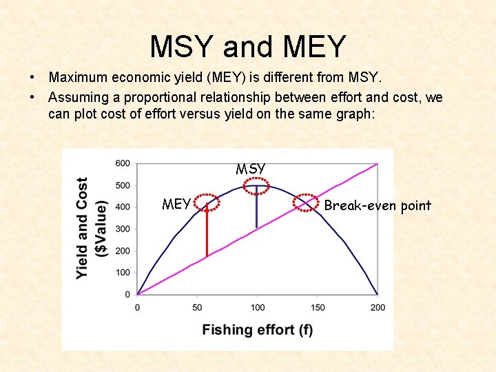 MSY and MEY • Maximum economic yield (MEY) is different from MSY. • Assuming