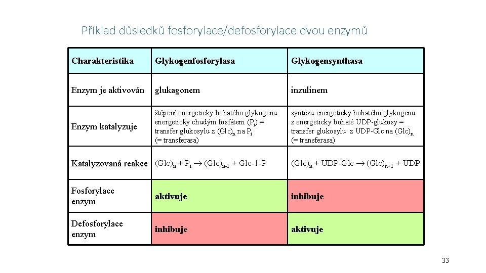 Příklad důsledků fosforylace/defosforylace dvou enzymů Charakteristika Glykogenfosforylasa Glykogensynthasa Enzym je aktivován glukagonem inzulinem Enzym