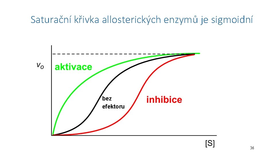 Saturační křivka allosterických enzymů je sigmoidní bez efektoru 36 